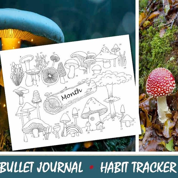 Mushroom themed habit tracker/ motivator for your bullet journal