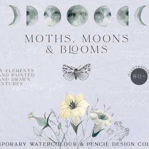 Motten Monde & Blüten Aquarell Clipart | Himmlische und Blumen Clipart | Digitale Clipart PNG | botanisch - Motten - Texturen - diy design