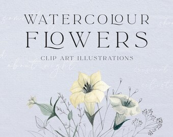 Zestaw clipartów akwarelowych kwiatów | Ilustracja kwiatowo-botaniczna | Pliki cyfrowe PNG - ślub - elementy kwiatowe - kwiaty akwarelowe - sztuka DIY