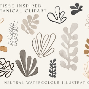 Matisse Botanical Cutouts Conjunto de acuarela / neutral, lineal, boho, minimalista, plantas, japandi, arte diy invita a la ilustración de tarjetas de boda