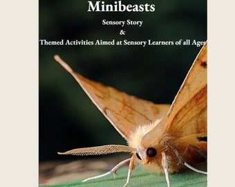 Minibeasts Sensory Story Plus Themed Extension Activities Teaching Resource