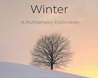 Winter Sensory Story Teaching Guide with themed extension activities