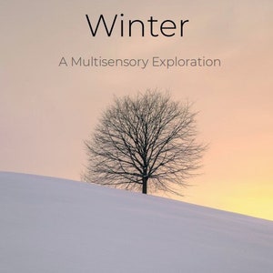 Winter Sensory Story Teaching Guide with themed extension activities image 1