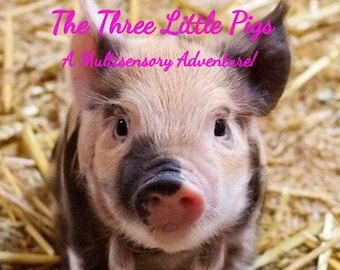 The Three Little Pigs Sensory Story Teaching Resource plus Themed Sensory Activities