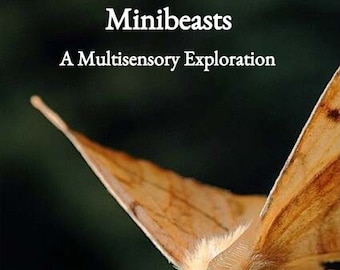 Minibeasts Sensory Story Teaching Resource plus Themed Extension Activities