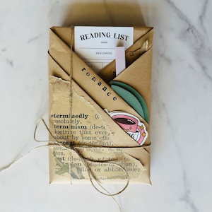 Blind Date with a Book, Gift for Readers, Romance Novel, Booktok, Smut, Gift for her, Spicy Booktok, Book Lover Gift, Surprise Gift Idea