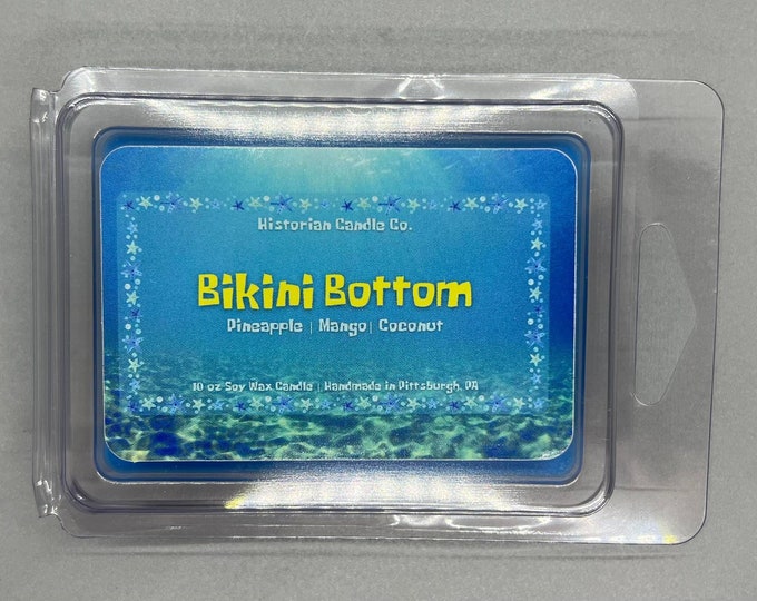 Bikini Bottom–Spongebob Squarepants Inspired approx. 2.5 oz. Scented Soy Wax Melts