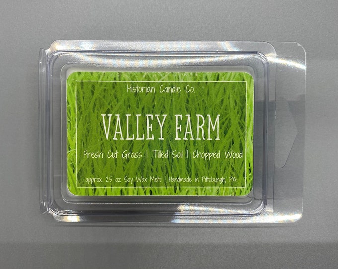 Valley Farm–Stardew Valley Inspired approx. 2.5 oz. Scented Soy Wax Melts