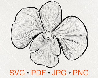 Orchid SVG JPG PNG Digital Download / Digital Vector Clipart Print