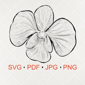 Orchid SVG JPG PNG Digital Download / Digital Vector Clipart Print