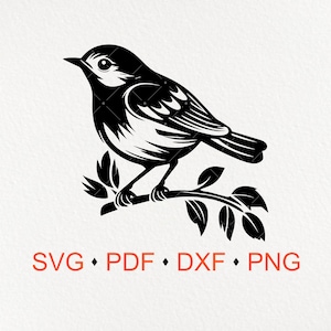 Oiseau sur branche vecteur coupe fichier pour Cricut, oiseau SVG, Silhouette Clip Art