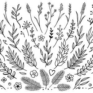 Puede incluir: Una colección de 30 ilustraciones florales dibujadas a mano en blanco y negro. Las ilustraciones presentan varios tipos de hojas, ramas y flores.