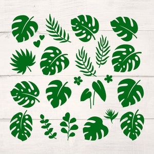 Feuilles tropicales Svg. Branches de palmier Svg. Ensemble de branches de la jungle Svg. SVG. Monstera, eucalyptus, banane, vecteur de fleurs. Couper le format Svg. PNG. Cricut.