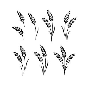 Pacchetto SVG di grano, grano SVG, grano Svg, grano, orzo, clipart di grano, grano tagliato file Silhouette, vettore, Svg, Png, picchi, covone Svg, icone