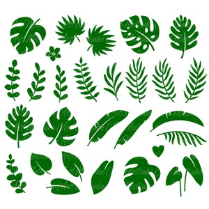 Tropische Blätter svg. Palmen Zweige svg. Dschungel Zweige Bundle svg. SVG. Monstera, Eukalyptus, Banane, Blumenvektor. Schnitt geschnitten. PNG. Cricut.