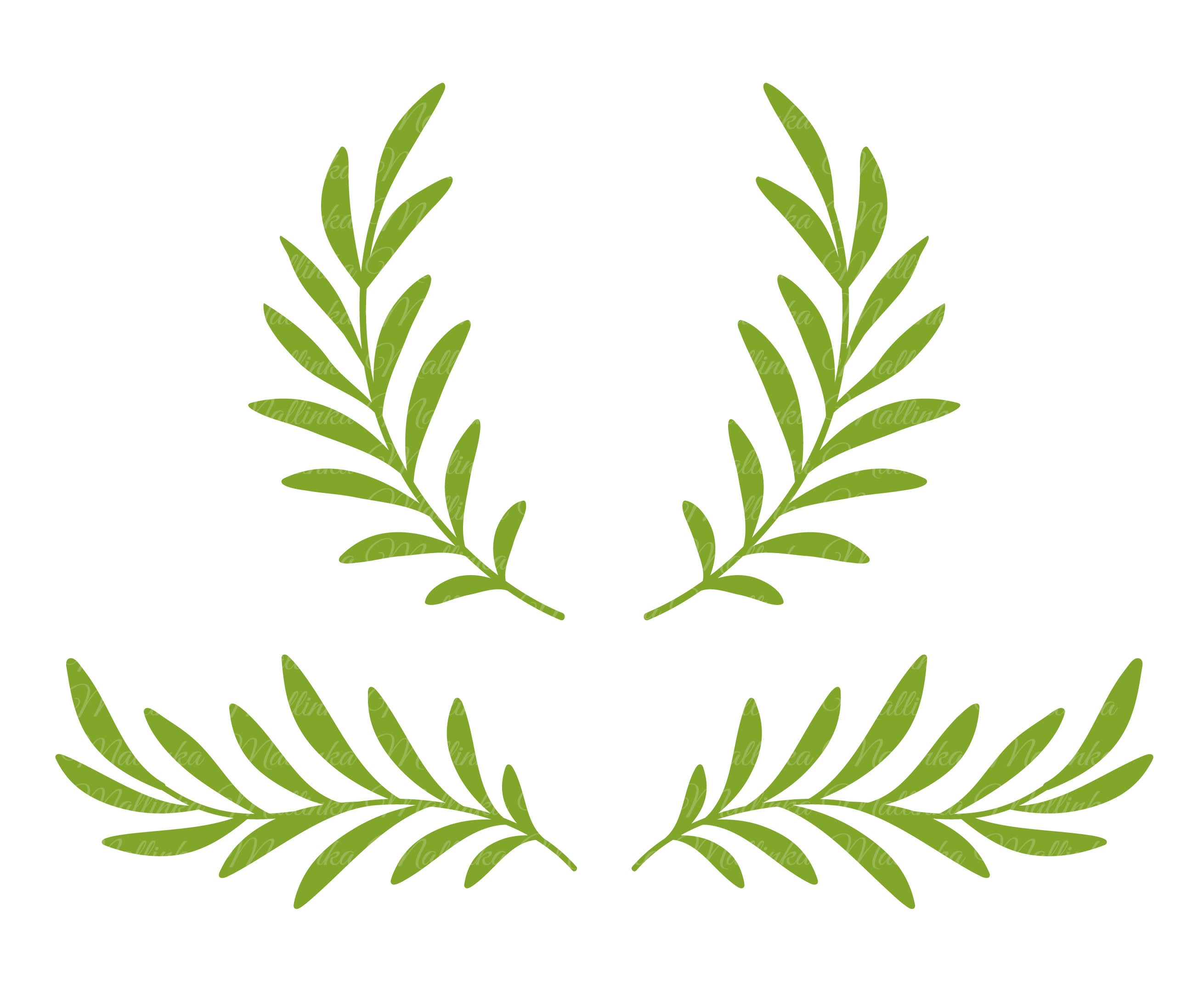 Olive Branches Wreath. Laurel Leaves Divider. Cut SVG Files. Vector