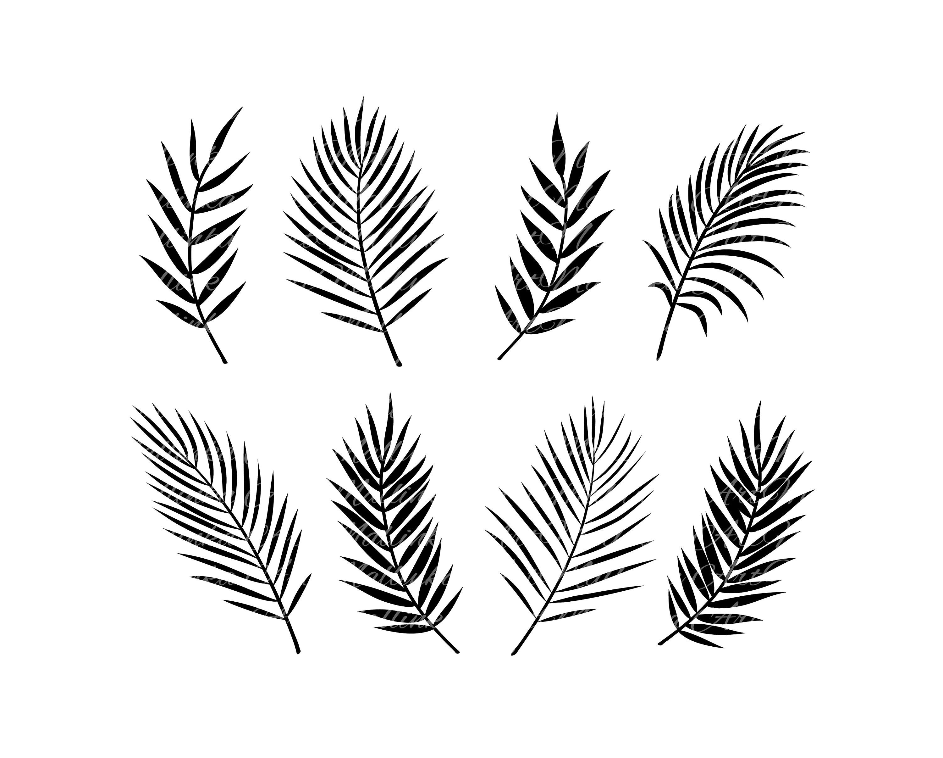 Palm Branches Svg. Svg. Tropical Leaves Svg. Vector Elements. Summer