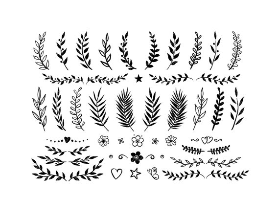 Eucalyptus Leaves SVG