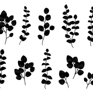 Peut inclure: Un ensemble de dix images en silhouette noire de branches d'eucalyptus avec des feuilles. Les branches sont de tailles et de formes variées, et certaines ont de petits bourgeons.