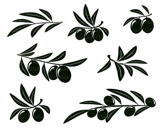 Olive Svg. Svg. Olive Branches Svg. Vector Elements. | Etsy