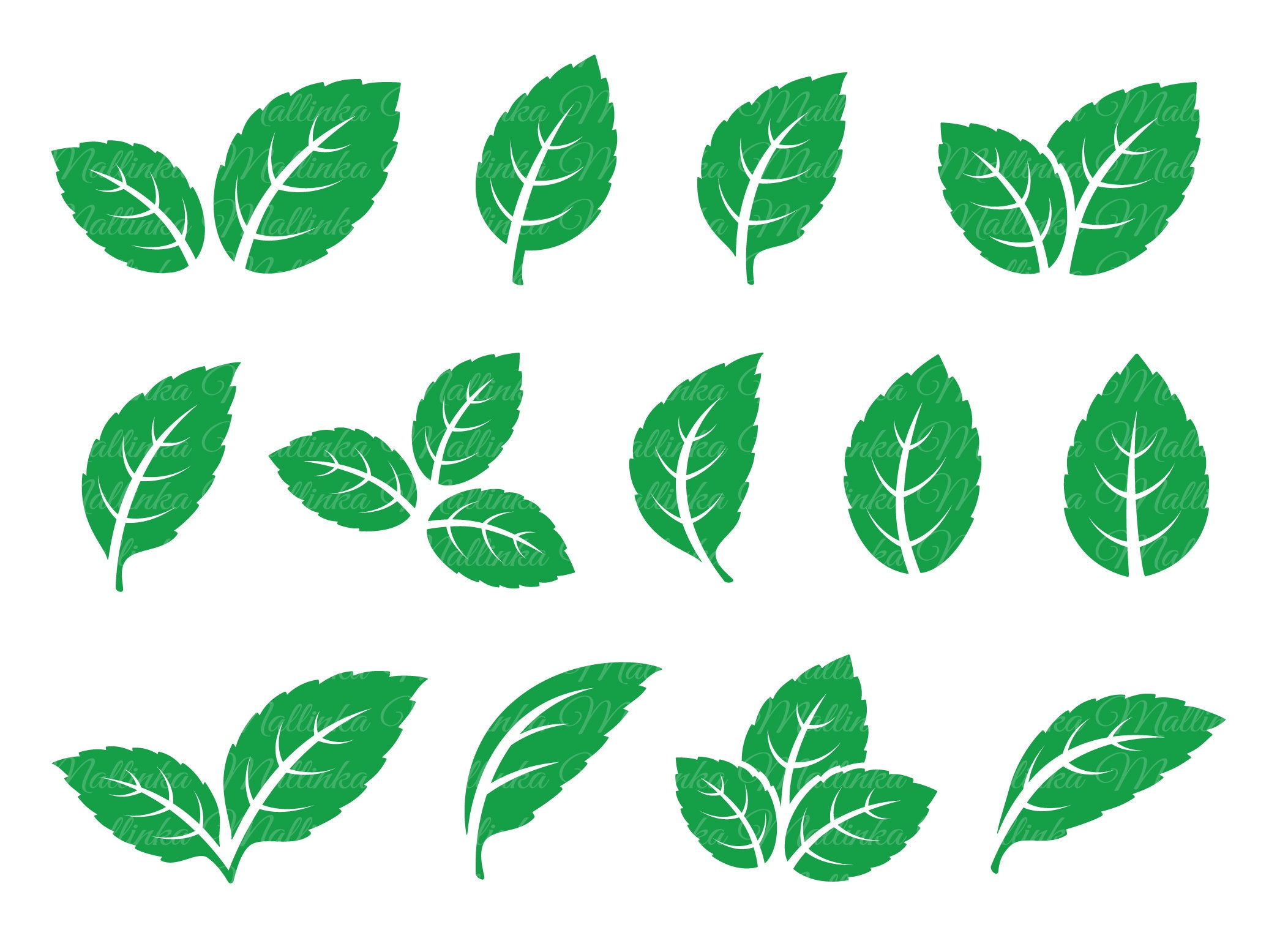 Leaves. Leaves Svg. Svg. Green Leaves. Vector Elements. Tea Leaf  Silhouette. Mint Leaf. Design Icons. Green Plant Leaves. Nature. Twig. Png.  