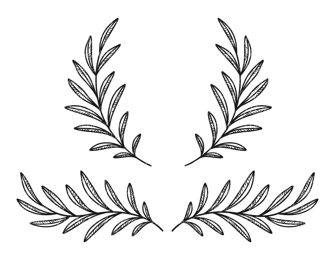 Olive Branches Wreath. Laurel Leaves Divider. Cut SVG. Detailed Vector