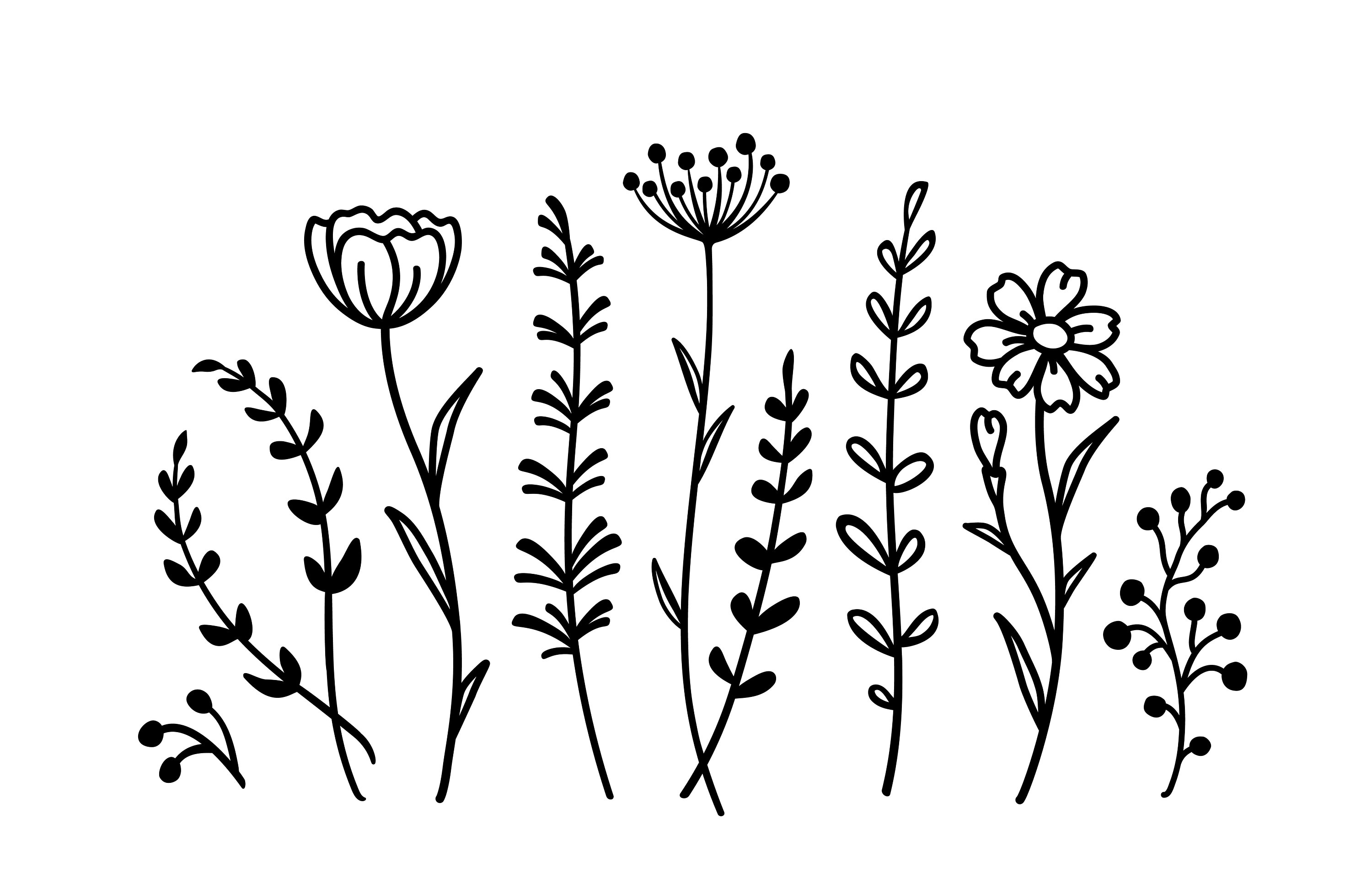 Flower, Flower SVG, Flowers, Svg, Flower Vector, Floral Botanical Pattern SVG, Silhouette, Hand
