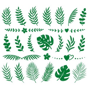 Tropische Blätter svg. Palmen Zweige svg. Dschungel Zweige Bundle svg. SVG. Monstera, Eukalyptus, Banane, Blumenvektor. Schnitt geschnitten. PNG. Cricut.