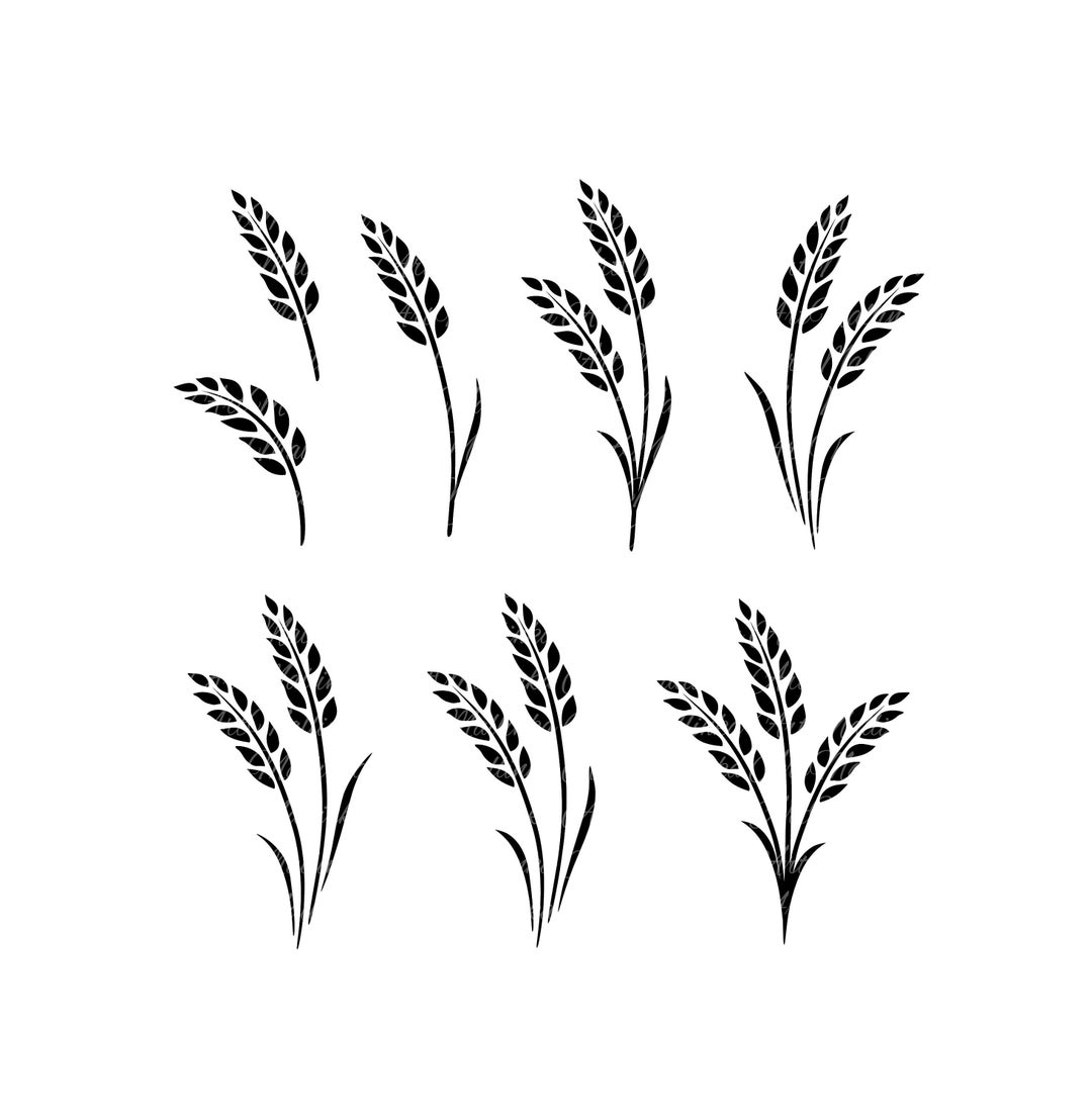 Wheat SVG Bundle, Wheat SVG, Grain Svg, Grain, Barley, Wheat Clipart
