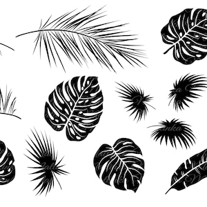 May include: A set of 14 black and white tropical leaf silhouettes, including palm leaves, monstera leaves, and banana leaves. These leaves are perfect for crafting, scrapbooking, or digital design.