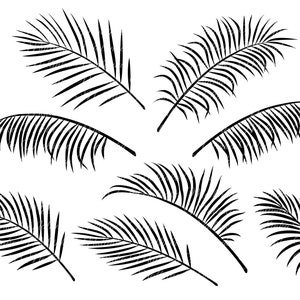 Tropical palm leaves set. Cut SVG. Vector elements. PNG files with transparent background.
