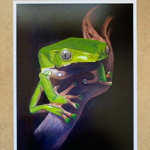 May include: A green tree frog with large, prominent eyes sits on a branch. The frog's skin is a vibrant green with brown markings. The branch is dark brown and textured.