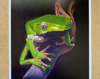 Kambo Frog | Fine Art Print - (beautiful artwork, giant monkey tree frog, shamanic detox medicine, amazon jungle, inspiration, green frog)