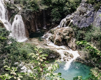 Rainforest Scented Soy Wax Melt Snap Bar