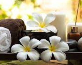 Shampure Essence Cire de Soja Fondant Snap Bar, Aromathérapie Décoration d'intérieur