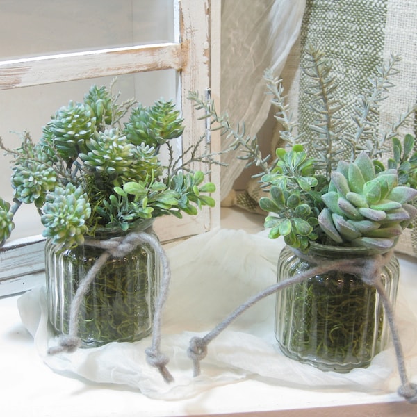 Ondulations de verre succulentes, plantes artificielles, succulentes, echeveria