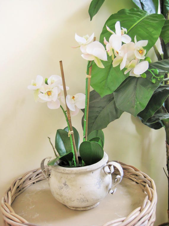 Orchidee Marlene: Knstliche Pflanze, bertopf, naturgetreu, pflegeleicht,  Kunstblumen, weie Blumen, Home Decor, Geschenk, schlicht, antik - Etsy.de