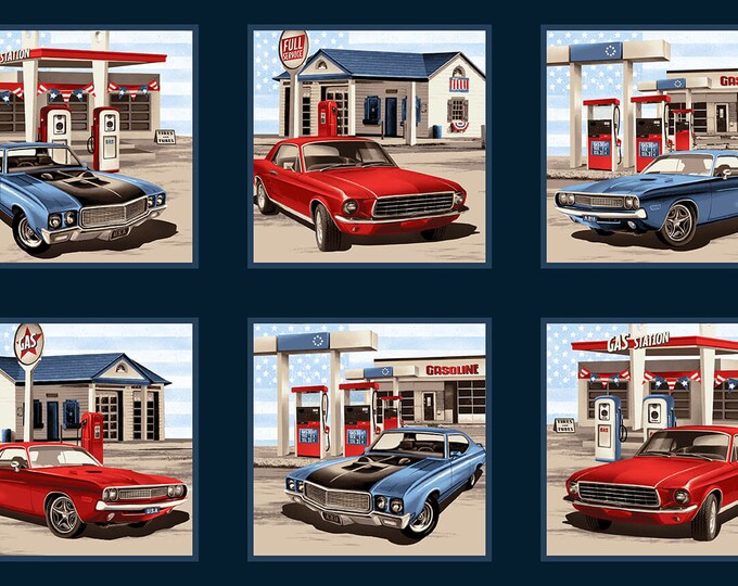 American Muscle by Studio E, 10 Block Panel 534378, Panel 24 X 42
