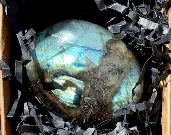 Full Flash Labradorite Palm Stone: Polished Crystal (2-3")