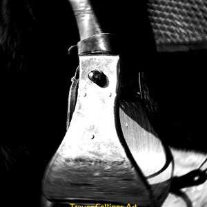 Black and white photographs