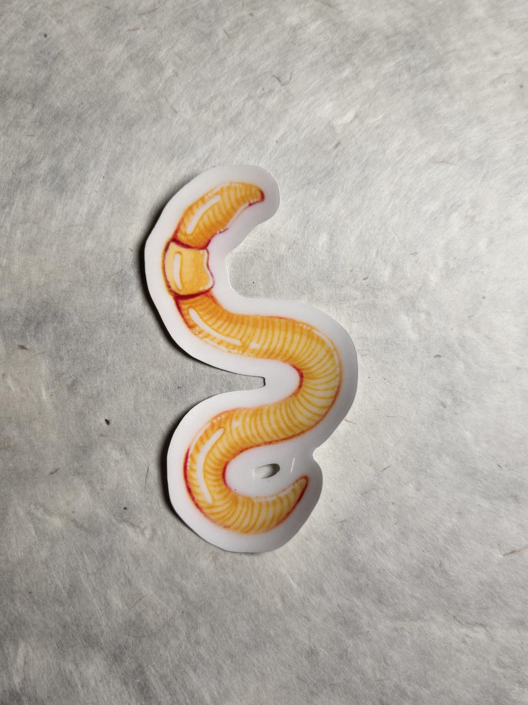 Worm Sticker | 3 In. X 1.5 In. | Handmade Sticker, Hand-drawn Design ...