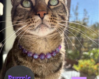 Purrrple Nova | Gato | Coleira personalizada com miçangas para gatos | Personalizada | Durável | Única