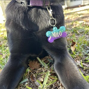 Half Glitter & Half Solid | Resin Dog Tag image 4