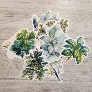 Cute Watercolor Cooking Herb Stickers  pack. 2.5 - 3 inches.