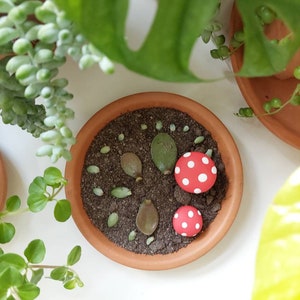 Handmade mushroom plant accessorie, Plant friend, Toadstool, Garden accessories, Urban jungle, Plant accessory, Cute, Kawaii, gift