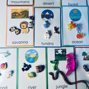 Puede incluir: Un conjunto de 10 tarjetas con diferentes biomas, cada una con una imagen del bioma y su nombre. Las tarjetas están decoradas con pequeñas figuras de animales de plástico que representan los animales que viven en cada bioma. Los biomas incluyen montañas, desierto, bosque, sabana, tundra, océano, estanque, río, selva y granja.
