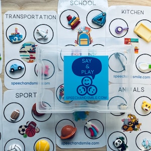 Sorting Task Box with Mini Objects Speech Therapy Activity Box Language Concepts Box Speech Therapy Mini Objects
