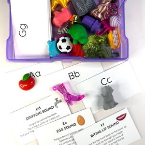 May include: A purple plastic storage bin filled with various small colorful plastic figurines including a yellow lion, green turtle, and soccer ball, alongside white alphabet cards labeled Gg, Aa, Bb, Cc, Dd, Ee, and Ff with text instructions.