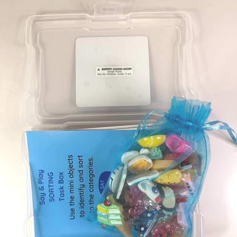 Say and Play Sorting Task Box with Mini Objects | Speech Therapy Activity Box | Language Concepts Sorting Kit | Preschool  Category Object