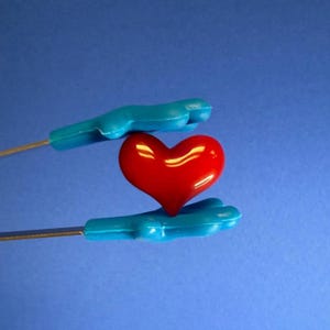 May include: A glossy red heart is held by two blue medical forceps against a blue backdrop. The heart is the focal point, with light reflecting off its curved surface. The forceps have blue handles and thin, silver metal tips.